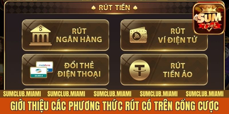 Giới thiệu các phương thức rút có trên cổng cược