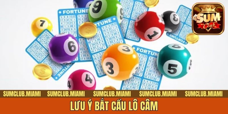 Lưu ý bắt cầu lô câm